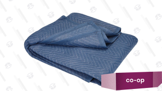 This Moving Blanket Is Our Readers' Favorite Picnic Blanket